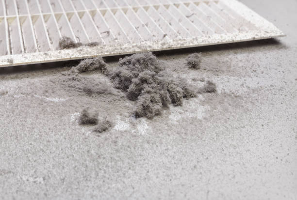 Best Air Duct Cleaning Near Me  in Porcupine, SD