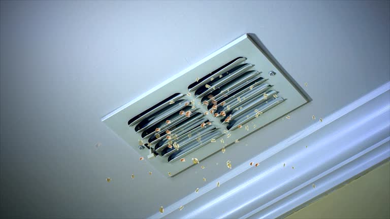 Best Local Air Duct Cleaning Services  in Porcupine, SD