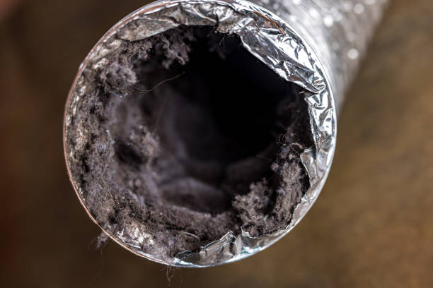 Best Commercial Air Duct Cleaning  in Porcupine, SD